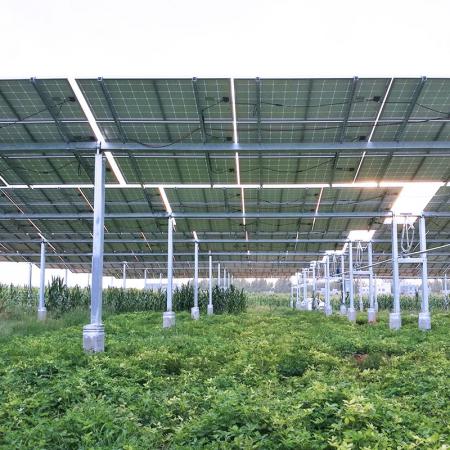 Struttura solare dell'azienda agricola
